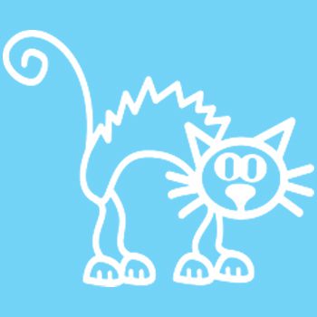 C1 - Scaredy cat - Image 2