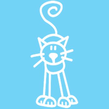 C2 - Cat - Image 2