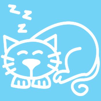 C3 - Cat sleeping - Image 2