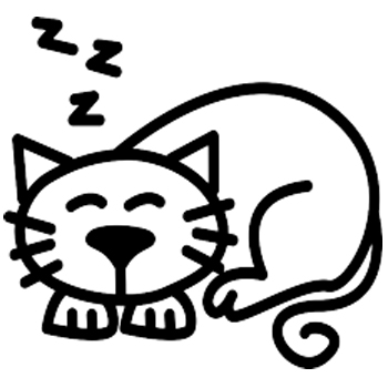 C3 - Cat sleeping