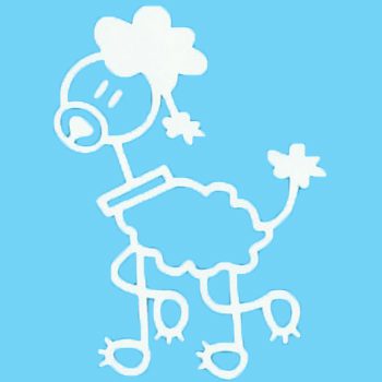 D3 - Poodle - Image 2