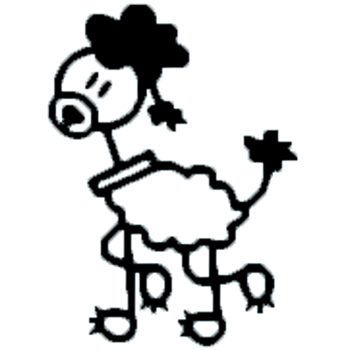 D3 - Poodle