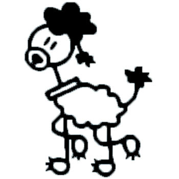D3 - Poodle