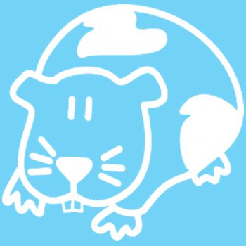 GP1 - Guinea pig - Image 2