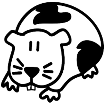 GP1 - Guinea pig