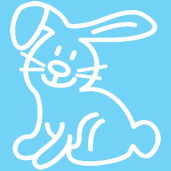R1 - Rabbit - Image 2