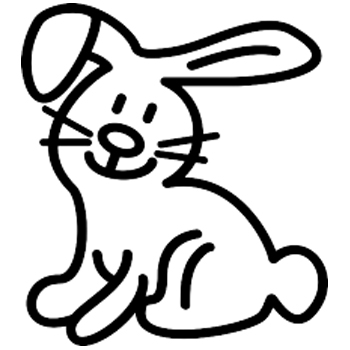 R1 - Rabbit
