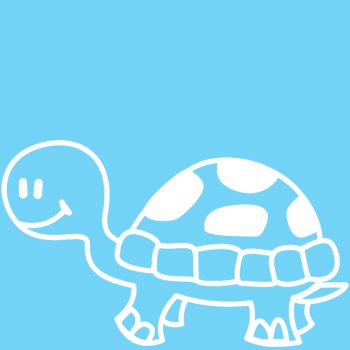 T1 - Schildkröte – Bild 2