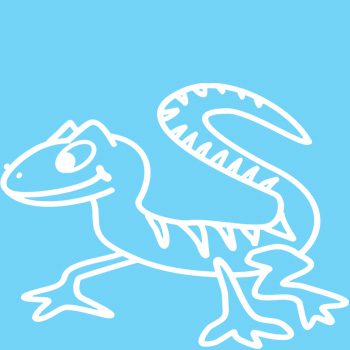 L1 - Lizard - Image 2