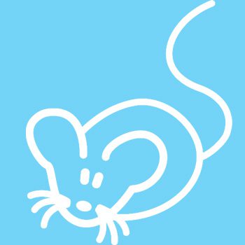 MR1 - Mouse / rat - Image 2