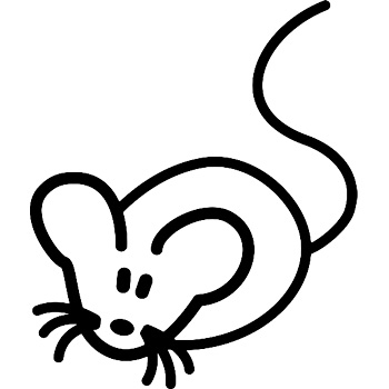 MR1 - Mouse / rat